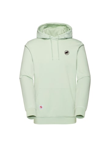Mammut Hoodie in Grüngrau