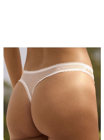 Vivance String in creme