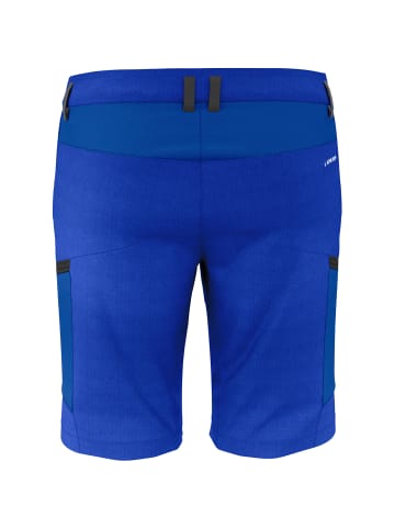 Salewa M ALPINE HEMP CARGO SHORTS