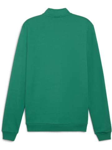 Puma Trainingsjacke "TeamGoal Casual TrackTop" in Grün