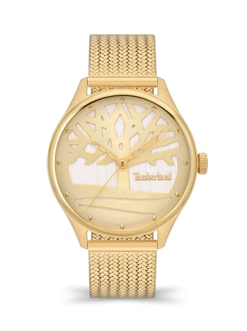 Timberland Uhr LINCOLNDALE in gold