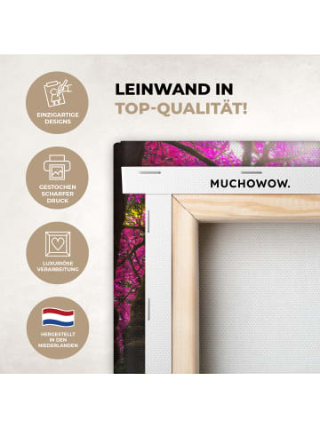 MuchoWow Leinwand bilder Magischer Wasserfall (BxH)