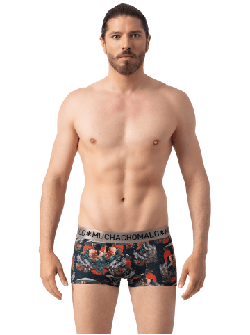 Muchachomalo 2er-Set: Boxershorts in Multicolor/Green