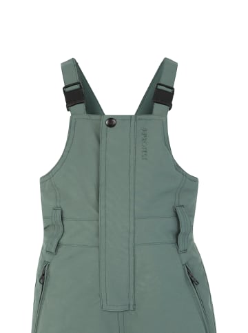 Protest " NEUTRAL TD in Aspen green