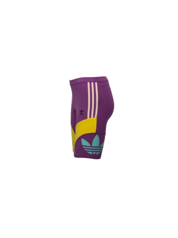 adidas Hose Cycling Short Hot Pant in Lila