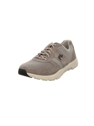 Camel Active Schnürschuhe in grau