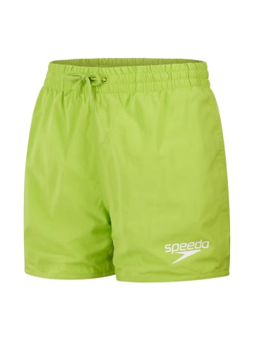 Speedo Badeshorts in Limette