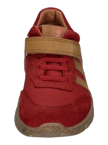 KOEL Sneaker Low Shane in rot