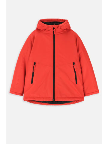 Coccodrillo Winterjacke in rot
