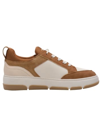 Tamaris Sneaker in COGNAC COMB