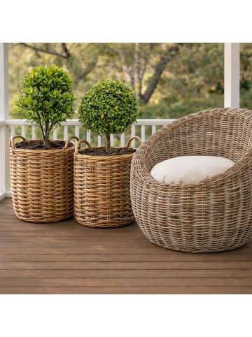 kobolo Aufbewahrungskorb JEMBRANA24L in Braun