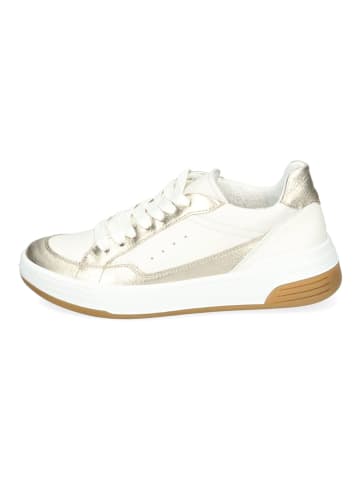 ara Sneaker in Weiß/Gold