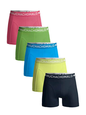 Muchachomalo 5er-Set: Boxershorts in Black/Yellow/Blue/Green/Pink