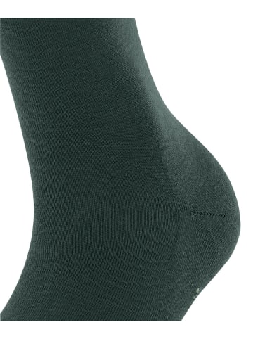 Falke Socken Softmerino in Pine grove