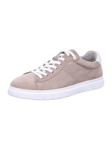 Gabor Schnürschuh Gabor Schnürschuh in taupe/white