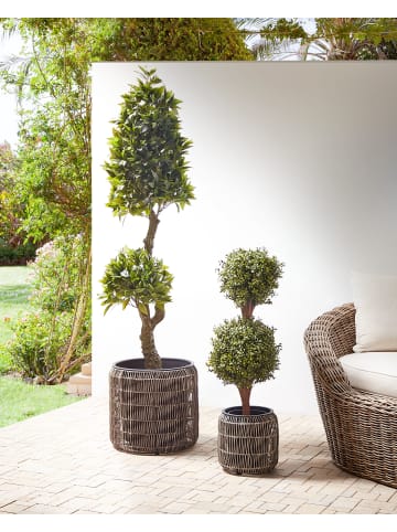 Beliani 2-tlg Outdoor Blumentopf BRODIEA in Braun