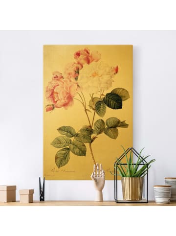 WALLART Leinwandbild Gold - Pierre Joseph Redouté - Damaszener-Rose in Rosa