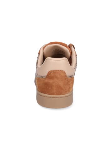 Guess Sneaker Jacek in Cognac