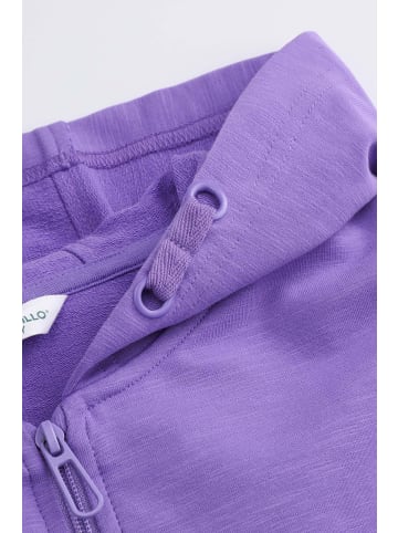 Coccodrillo Sweatshirt mit Reißverschluss in violett