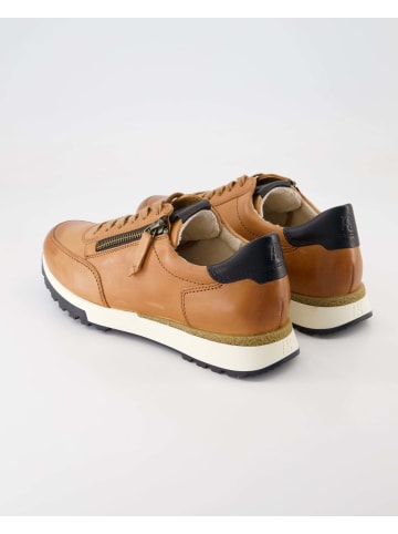 Paul Green Sportliche Schnürschuhe in Braun
