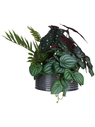 Home&Styling Collection Kunstpflanze Begonia maculata in Grün, 28 cm
