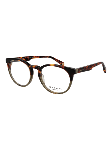 Ted Baker Männer Optische Fassungen Panto Braun