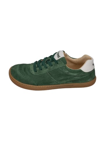 KOEL Sneaker Low DUSTIN SUEDE in braun
