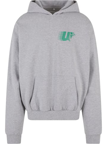 Mister Tee Mister Tee Kapuzenpullover in grey