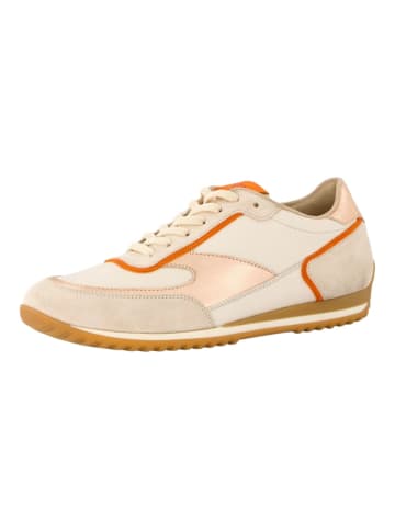 Paul Green Sneaker Beige/Weiß