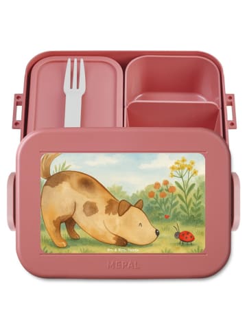 Mr. & Mrs. Panda MEPAL Bentobox Hund Marienkäfer Design ohne Spruch in Rot Pastell