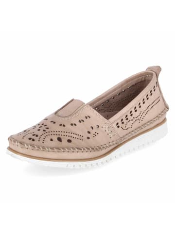 Andrea Conti Slipper in taupe