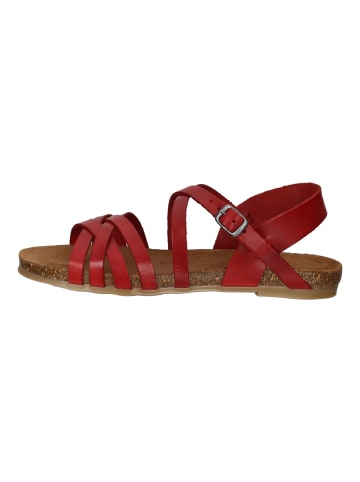 Cosmos Comfort Sandalen in Rot