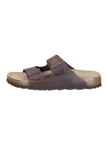 Dr. BRINKMANN Pantoletten Bonillo in Braun