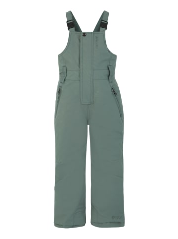 Protest " NEUTRAL TD in Aspen green