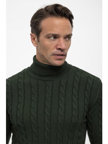 Felix Hardy Pullover in Grün