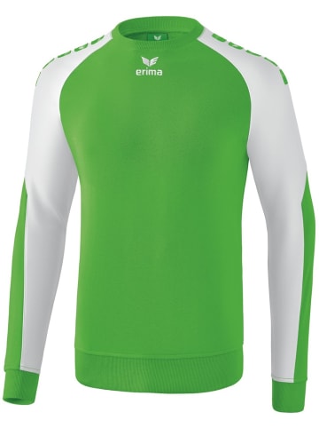 erima Kinder Trikot "Essential 5-C Sweatshirt" in Grün