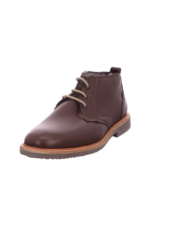 LLOYD Winterboot in braun
