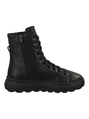 Geox Stiefelette Schwarz