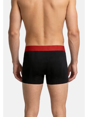 Bruno Banani Retro Short / Pant Flowing in Cranberry