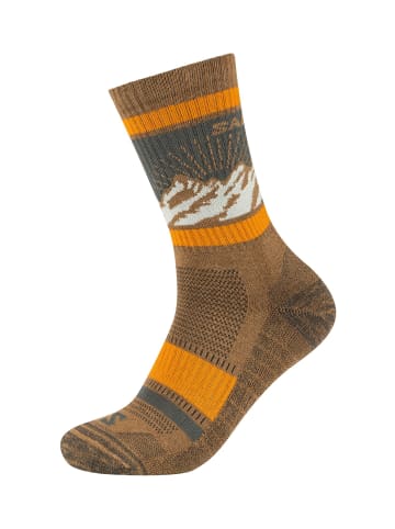 SALOMON Socken 2er Pack hike in Panderosa Pine/Black