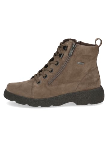Caprice Schnürschuhe in taupe suede