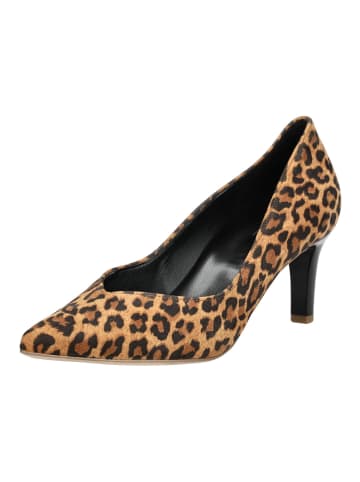 Högl Pumps in Camel