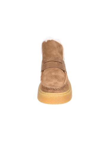 phenumb Stiefelette in taupe