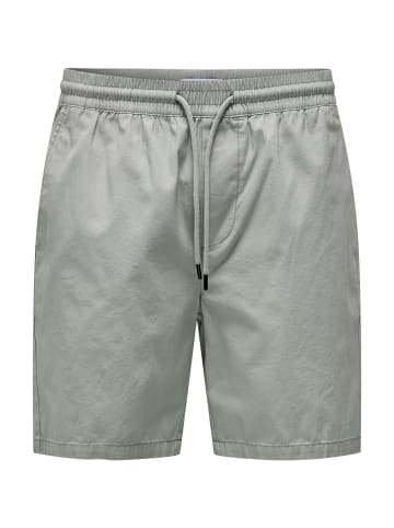 Only&Sons Shorts 'Tell Life 0119' in grau