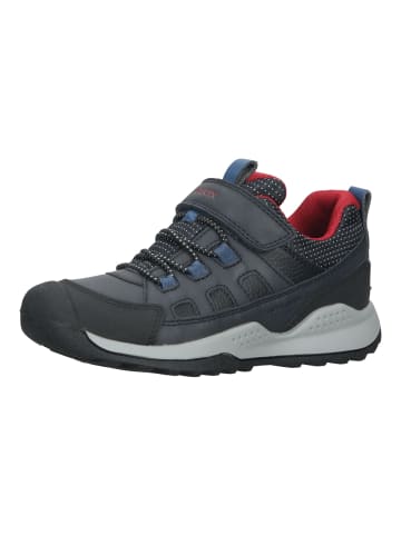 Geox Sneaker in Navy/Rot