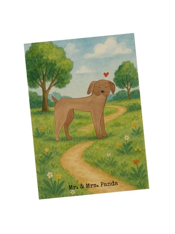Mr. & Mrs. Panda Postkarte Hund Dogge Design ohne Spruch in Weiß