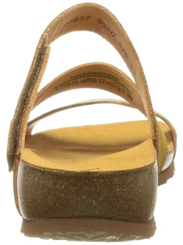 Think! für Erwachsene in kombi