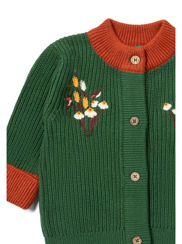 Little Green Radicals Organic Knitted Cardigan in Green