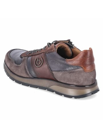 Bugatti Low Sneaker in braun