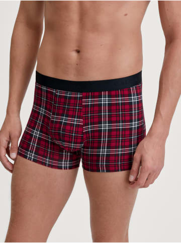 Calida New Boxer in rio red